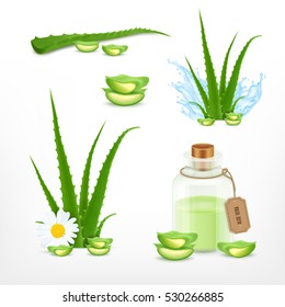 Aloe. Vector icons set. EPS10