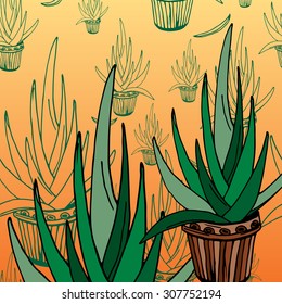Aloe vector illustration, hand-drawn design elements.