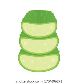 Aloe vector. Aloe on white background. free space for text. copy space.