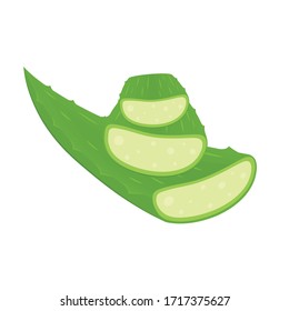 Vector de aloe. Áloe de fondo blanco. espacio libre para texto. espacio de copia.