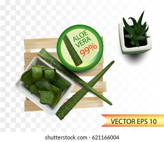 aloe vera