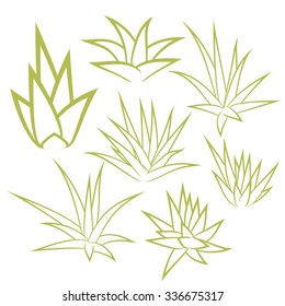 Aloe vera, agave, bush, succulent plant, flower set isolated on white background. Vector illustration.
