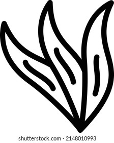 aloe vera aristata Ilustración vectorial sobre un fondo transparente.Símbolos de calidad premium.Icono de vector de línea delgada para concepto y diseño gráfico.