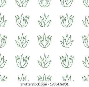 Aloe vera background, agave plant seamless pattern. Succulent wallpaper with line icons of aloevera leaves. Herbal medicine vector illustration green white color.