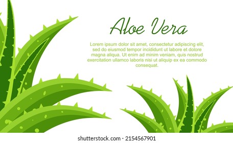 Banner de Aloe vera con espacio para copiar. Cartel publicitario de diseño de producto cosmético para catálogo, revista. Diseño del paquete cosmético con planta aloe vera. Pasos de fondo natural10