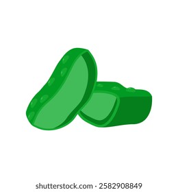 Aloe Vera, Beauty and Spa Vector isolated Illustration
