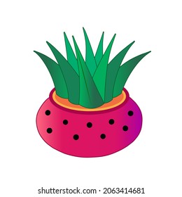 Aloe vera, cactus in the pot. Vector Illustration for printing, backgrounds, icon web, wallpapers, covers, packaging, posters, stickers, textile and seasonal design. Isolated on white background.
