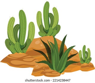 Arte vectorial de Aloe vera Cactus e ilustración