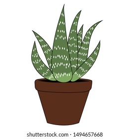 Aloe vera cartoon. Isolated stock vector illustration