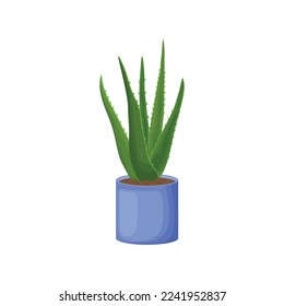 Aloe vera in cartoon style is a medicinal plant of aloe in a pot. Indoor aloe plant in a blue pot. Vector illustration isolated on a white background