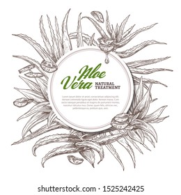 Aloe vera circle frame. Hand drawn vector background with slices and leaves of home herbal medicine flowers and plants. Sketch design template of label with barbadensis, cactus with oil drop for care