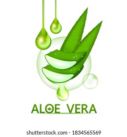 Aloe Vera collagen and Serum for skin Care Cosmetic vector illustration.