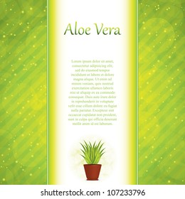 Aloe Vera concept design