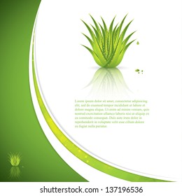 Aloe Vera concept design