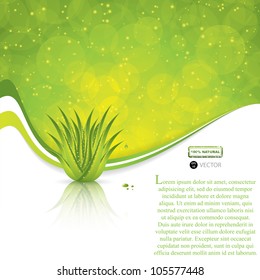 Aloe Vera concept design vector