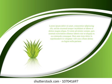 Aloe Vera concept design vector