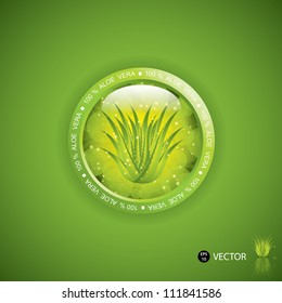 Aloe Vera concept design vector