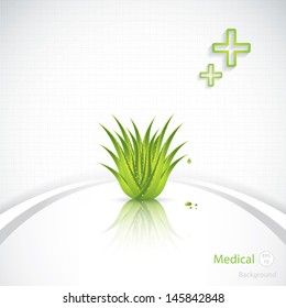 Aloe Vera concept design vector
