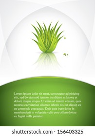 Aloe Vera concept design vector