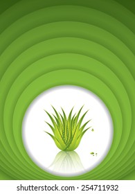 Aloe Vera concept design.Vector