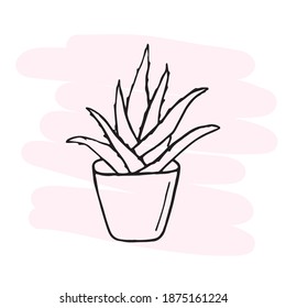 Aloe vera contour drawing. Separate vector illustration.
