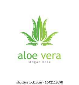 Aloe vera cosmetic herbal vector icon illustration