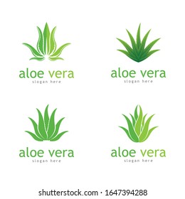 Aloe vera cosmetic herbal vector icon illustration