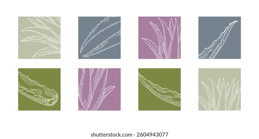 Aloe vera delicate logo and icons of organic cosmetics set. Hand drawn ink sketch plant from design. Ecology concept in beauty industry. Promotion of healthy lifestyle and premium quality