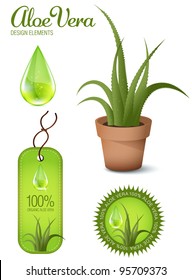 Aloe Vera, design elements, illustration.