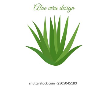 Aloe vera design. aloe vera medicinal and skincare properties. Aloe vera is often used to soothe skin irritations, burns, and minor cuts due to its anti-inflammatory and healing properties.