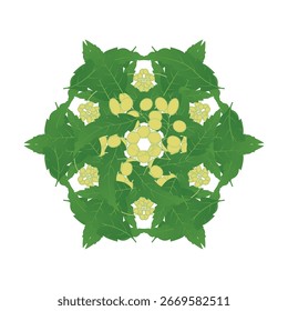 Mandala de libro para colorear de Plantilla de diseño de aloe vera. Páginas fáciles de libros para colorear de mandala para que los adultos se relajen, las experiencias dan alivio. Archivo de Vector de tamaño variable