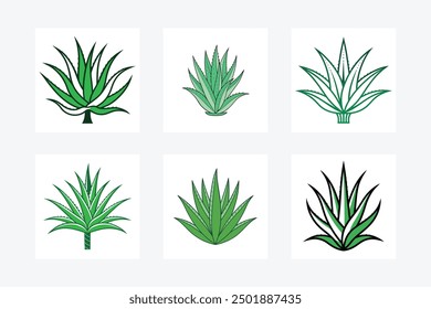 "Aloe Vera design vector art clipart on white background. Perfect for digital, print, and wellness projects."






