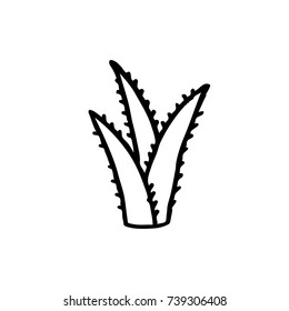 aloe vera doodle icon