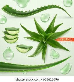 Aloe Vera And Drop. Medicinal Plant, 3d Vector Icon Set