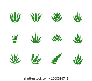 Aloe vera flat glyph icons. Succulent, tropical plant vector illustrations, signs for organic food, cosmetic. Solid silhouette pixel perfect 64x64.