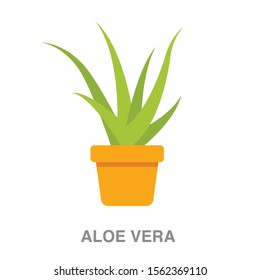 Aloe vera flat icon on white transparent background. You can be used Aloe vera icon for several purposes.