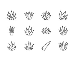 Aloe Vera Flat Line Icons. Succulent, Tropical Plant Vector Illustrations, Thin Signs For Organic Food, Cosmetic. Pixel Perfect 64x64. Editable Strokes.