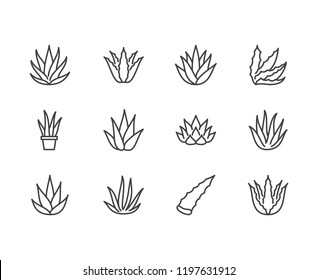 Aloe vera flat line icons. Succulent, tropical plant vector illustrations, thin signs for organic food, cosmetic. Pixel perfect 64x64. Editable Strokes.