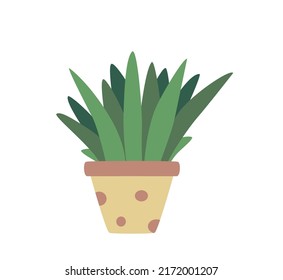 Aloe vera flower in a pot, vector illustration plant, landscaping of the room