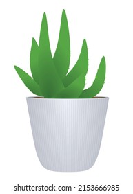 Flor de aloe vera. ilustración vectorial
