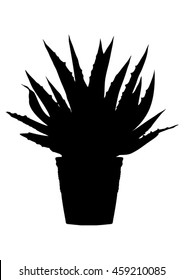 Aloe vera in flowerpot black silhouette vector