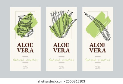 Conjunto de modelos de folhetos Aloe vera. Ingrediente cosmético natural. Tinta desenhada à mão esboço plantas. Conceito ecológico na indústria da beleza. Ilustração vetorial.