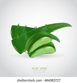 aloe vera with fresh drops of water