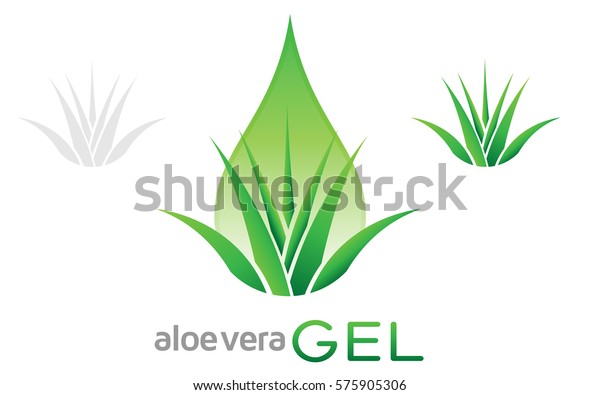 アロエベラゲルのロゴベクター画像 緑の葉とジュースやゲルの滴を持つアロエ植物のアイコン のベクター画像素材 ロイヤリティフリー 575905306
