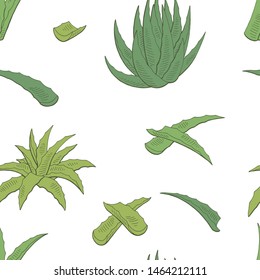 Aloe vera graphic color seamless pattern background sketch illustration vector