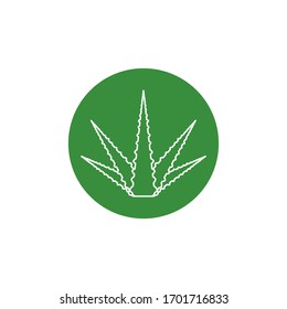 Aloe vera graphic design template isolated