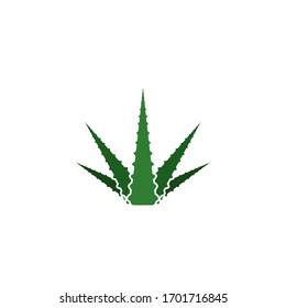 Aloe vera graphic design template isolated