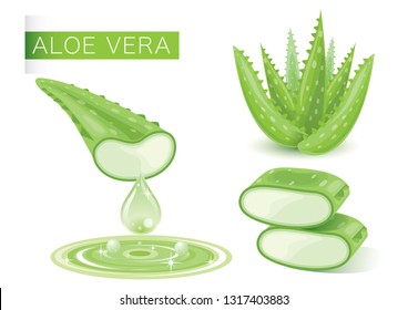 Aloe Vera Green Fresh