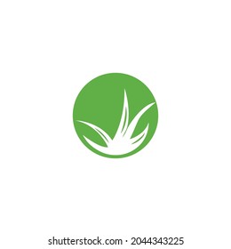 aloe vera green leaf logo icon vector illustration template design