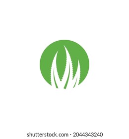 aloe vera green leaf logo icon vector illustration template design